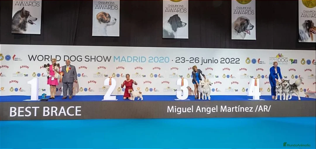 Imagen de galería {{count}}