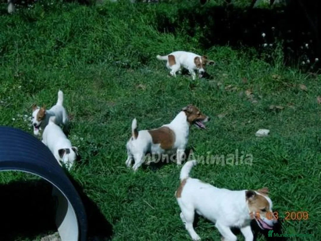 Imagen de galería {{count}}