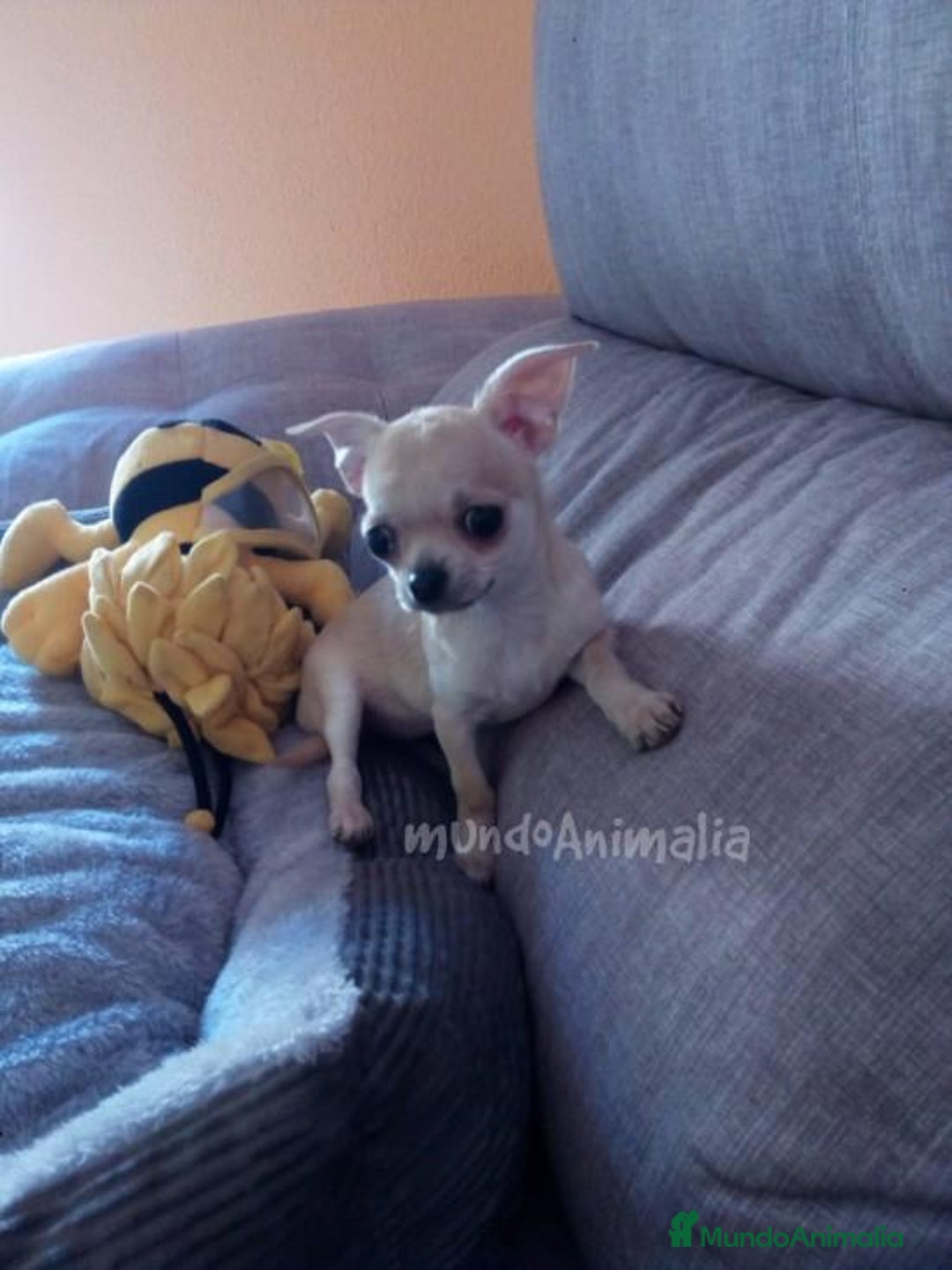 Imagen de galería {{count}}