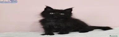 Edna
