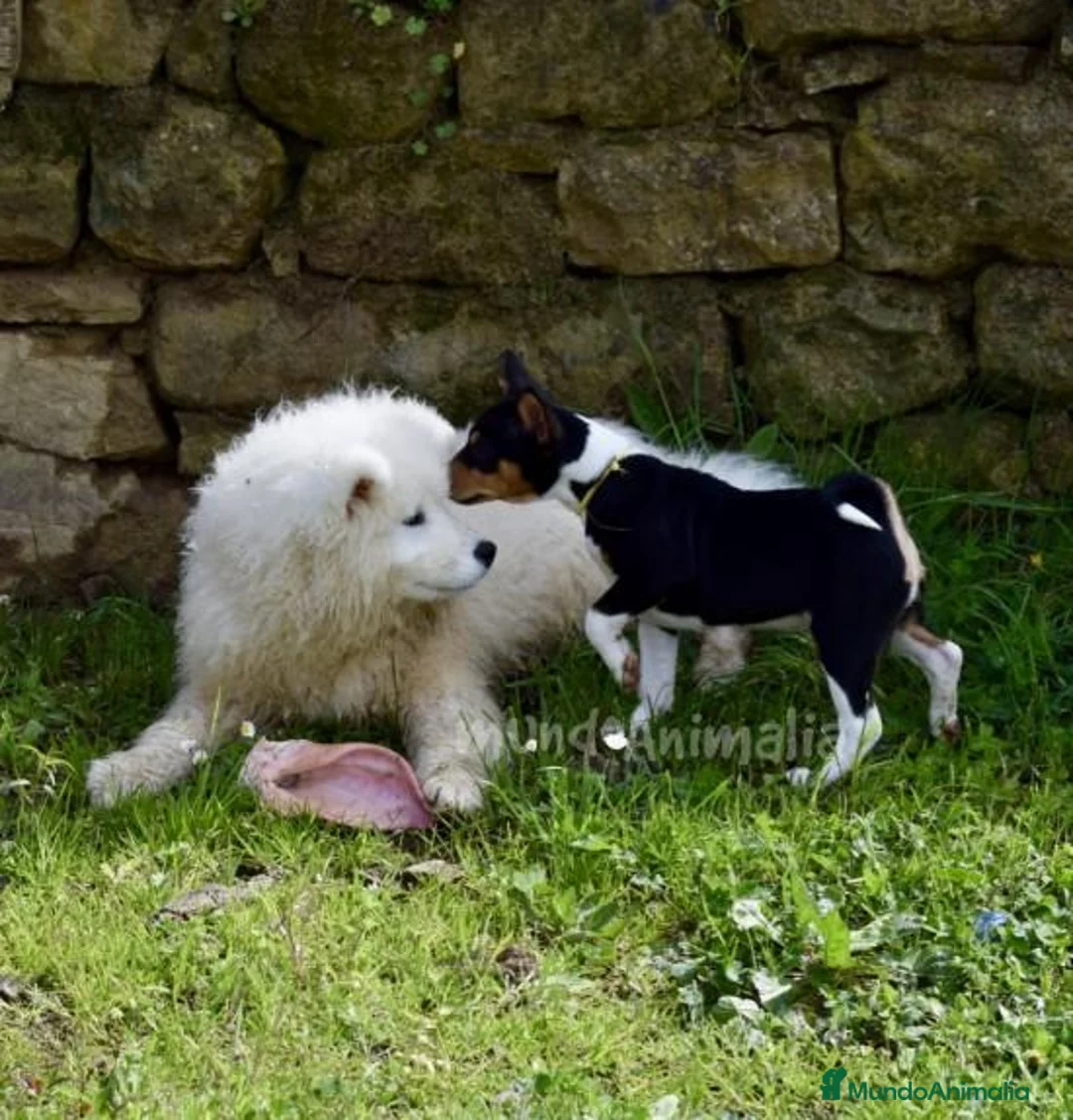 Imagen de galería {{count}}