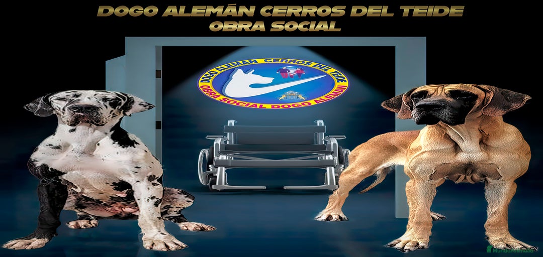 Imagen de galería {{count}}