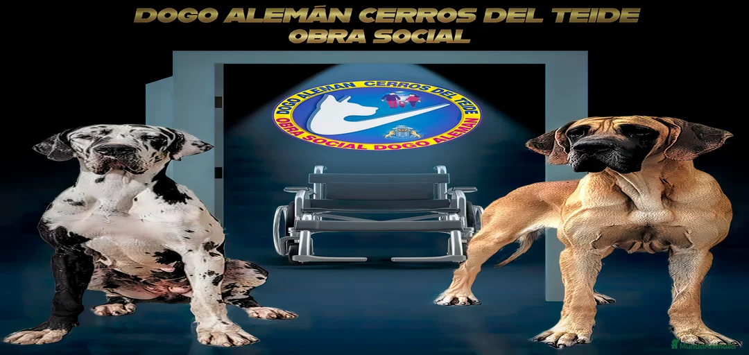 Imagen de galería {{count}}