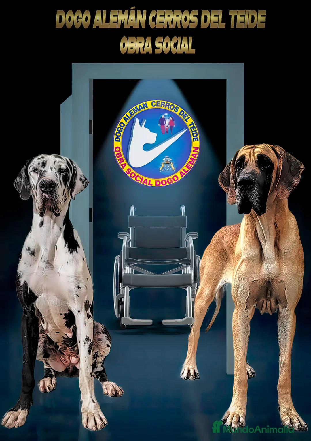 Imagen de galería {{count}}