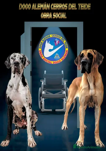 Imagen de galería {{count}}