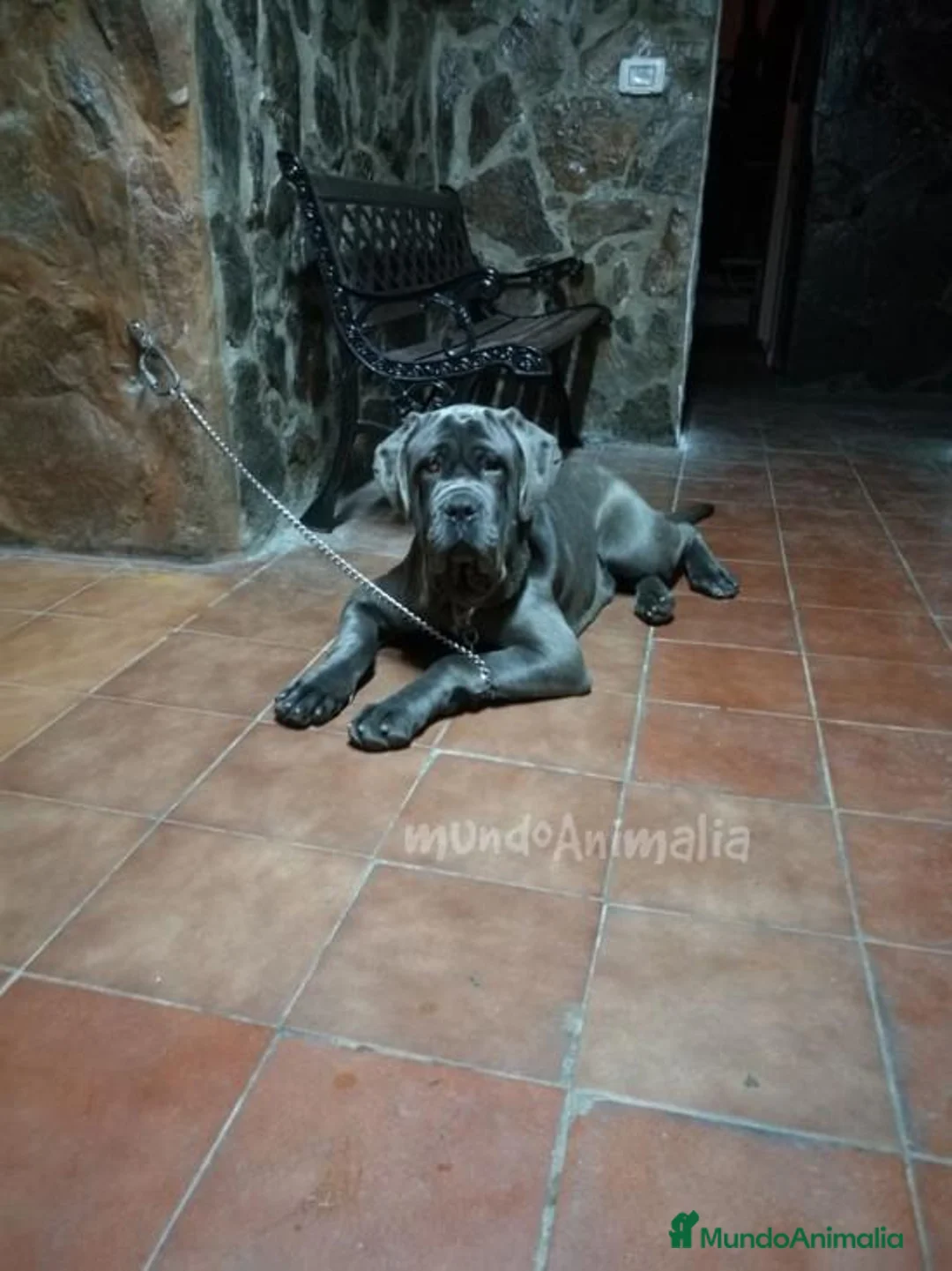 Imagen de galería {{count}}