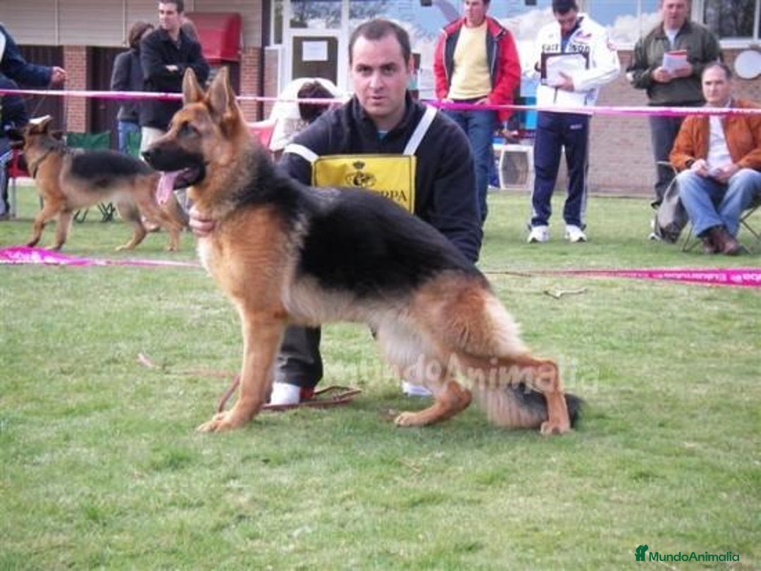 Imagen de galería {{count}}