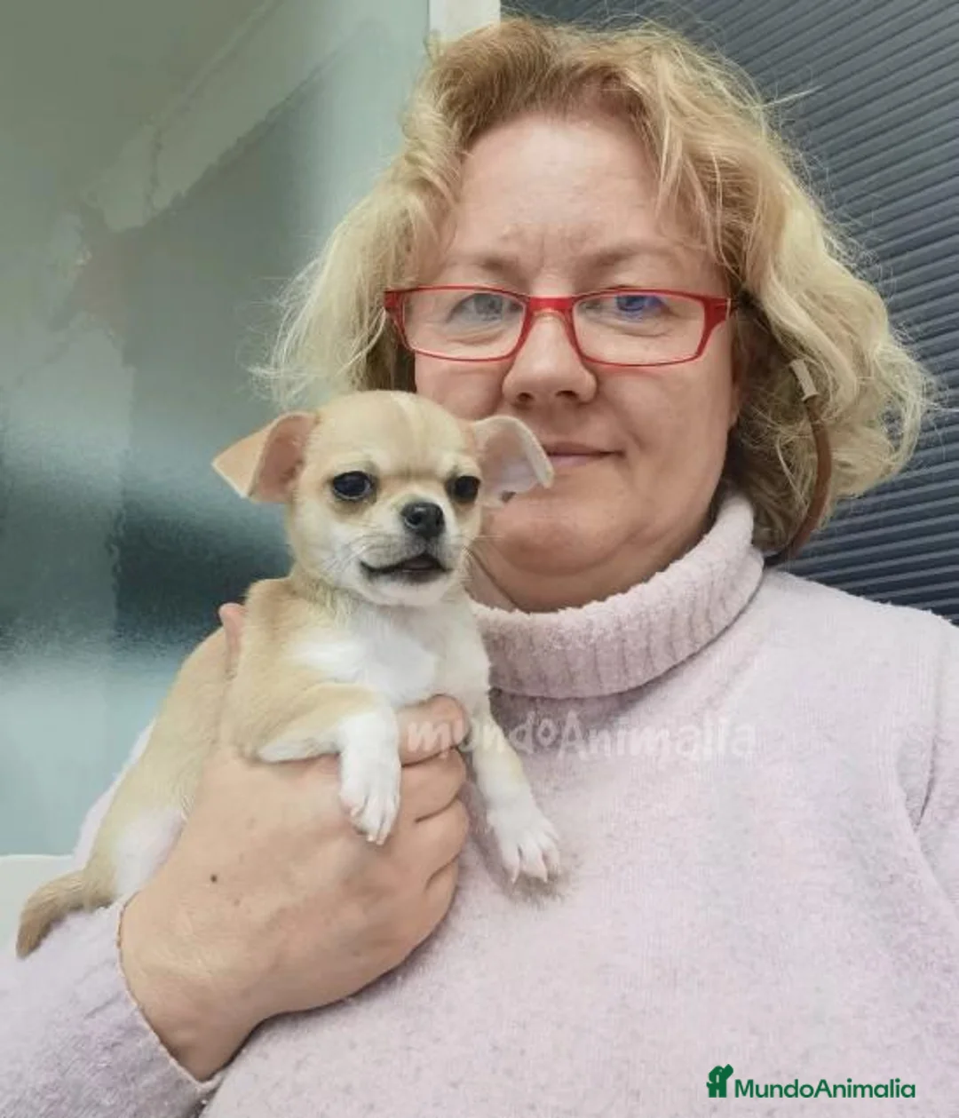 Imagen de galería {{count}}