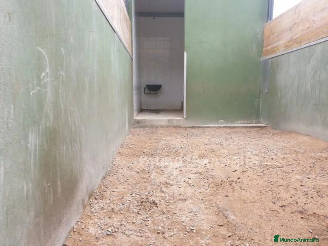 Imagen de galería {{count}}