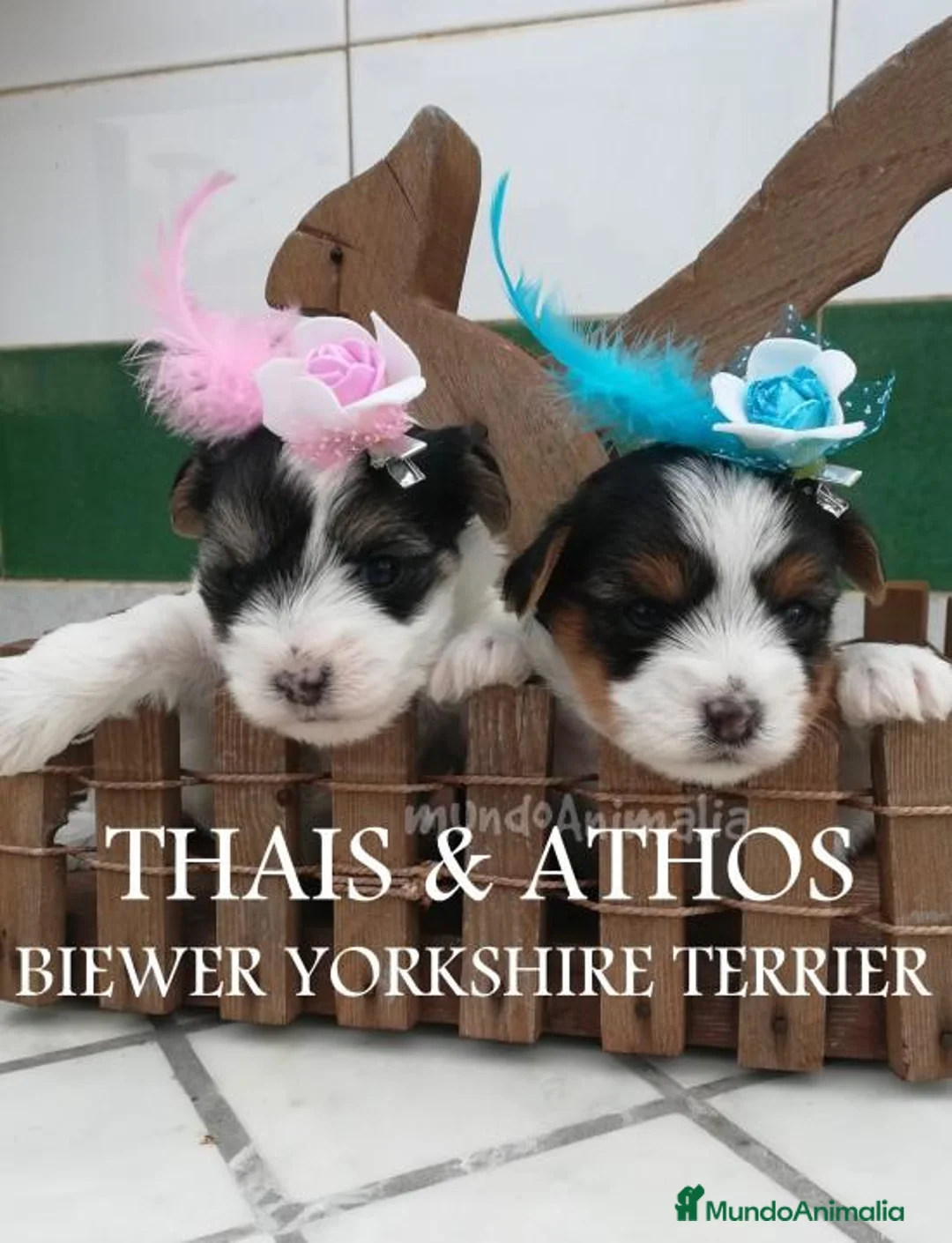 Imagen de galería {{count}}