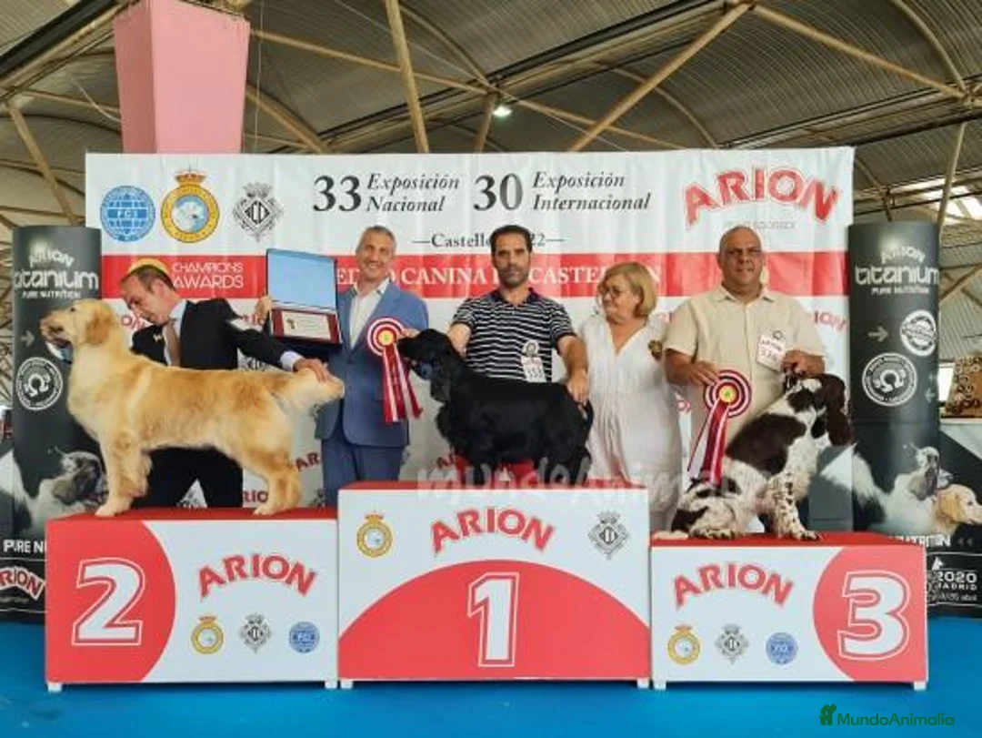 Imagen de galería {{count}}