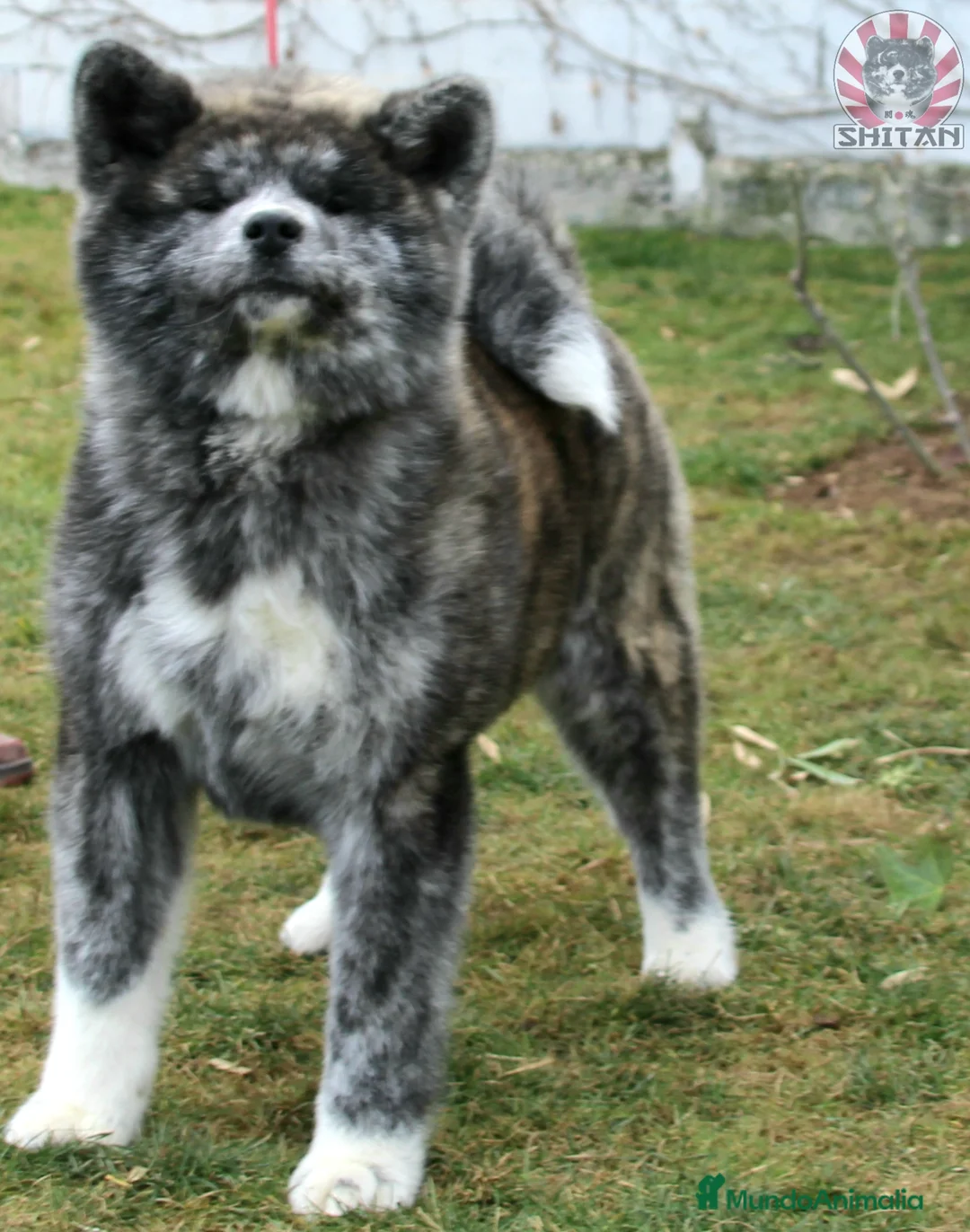 Imagen de galería {{count}}