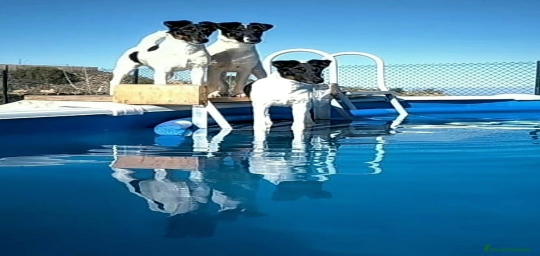 Imagen de galería {{count}}