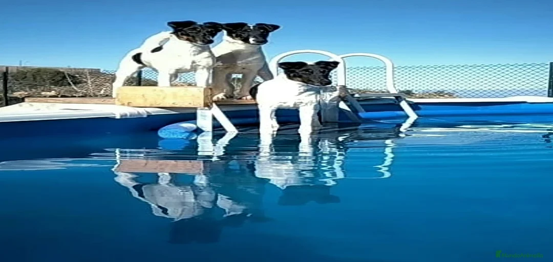 Imagen de galería {{count}}