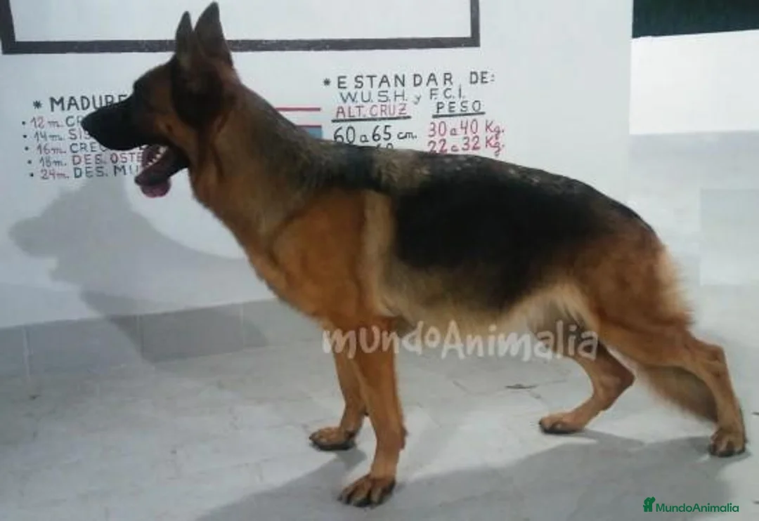 Imagen de galería {{count}}