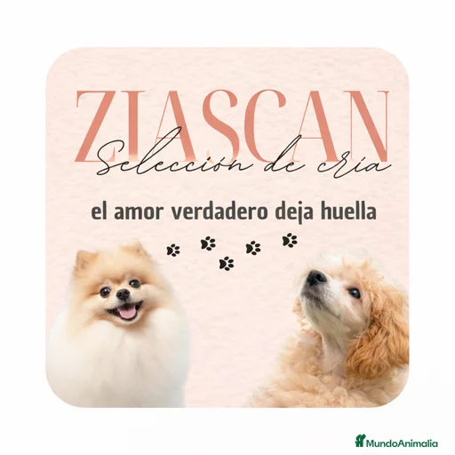 Imagen de galería {{count}}