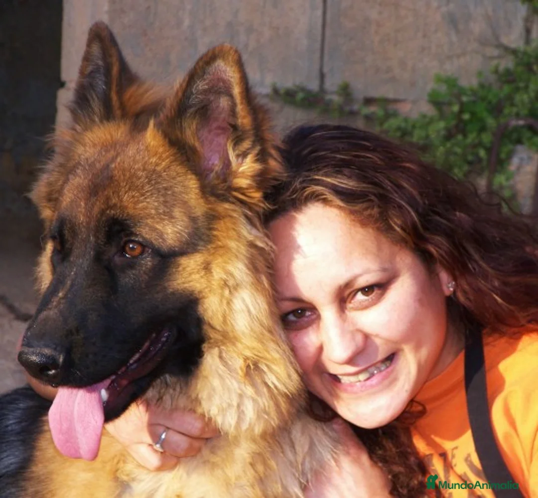 Imagen de galería {{count}}