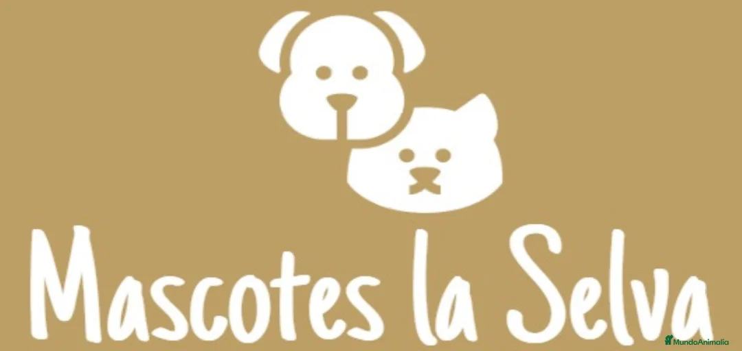 Imagen de galería {{count}}