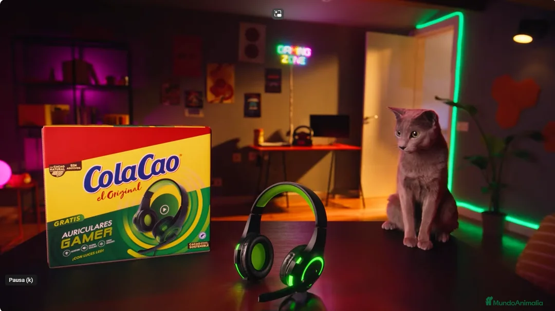 Imagen de galería {{count}}