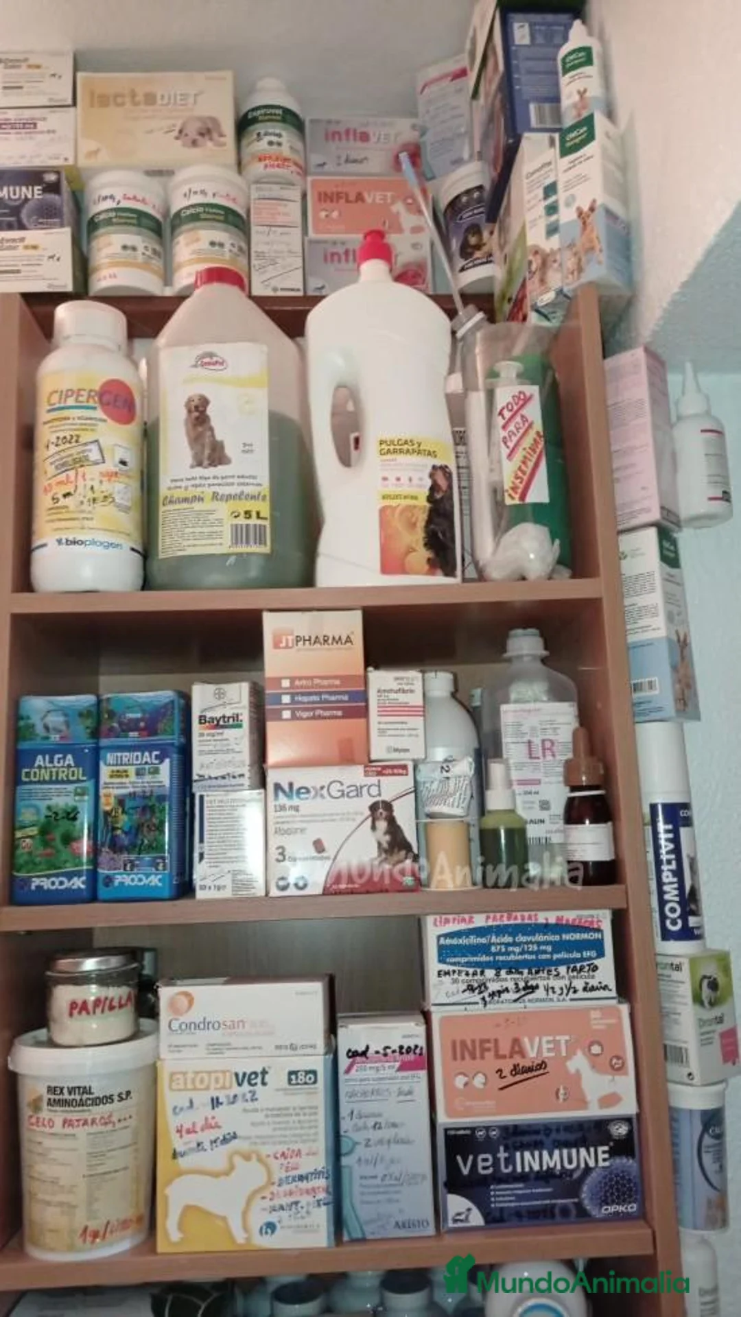 Imagen de galería {{count}}