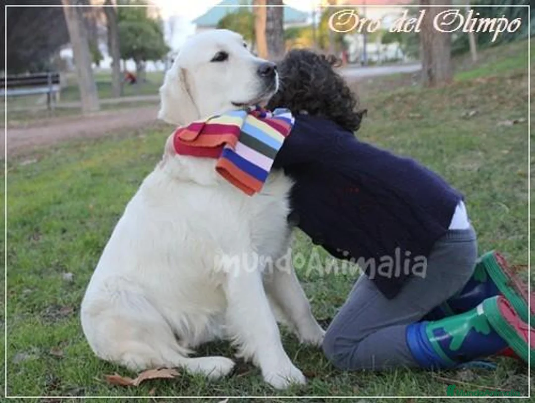 Imagen de galería {{count}}