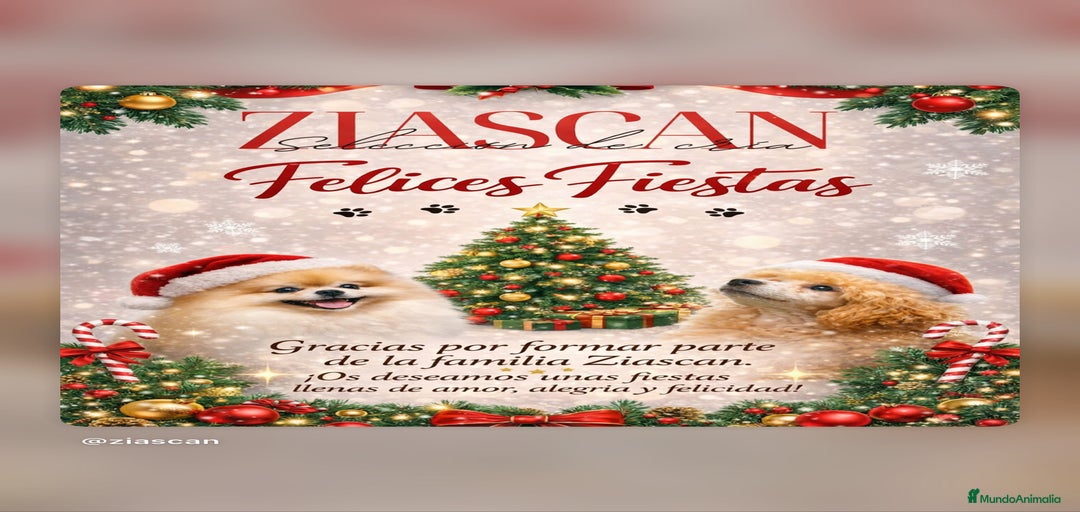 Imagen de galería {{count}}