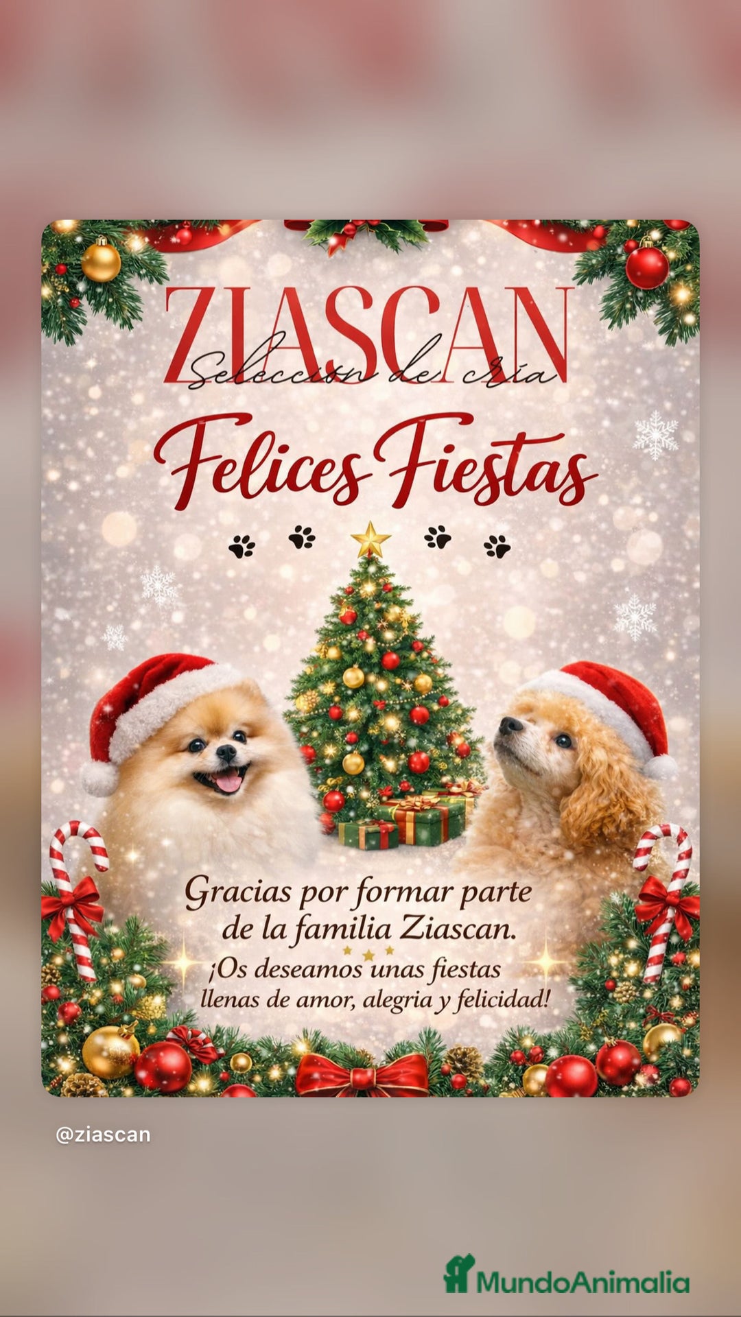 Imagen de galería {{count}}