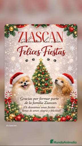 Imagen de galería {{count}}