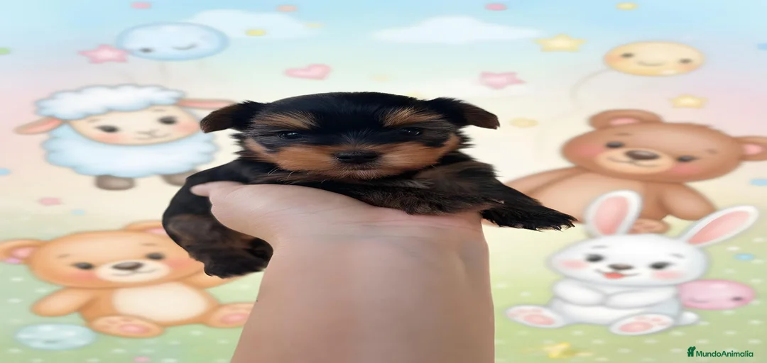 Imagen de galería {{count}}