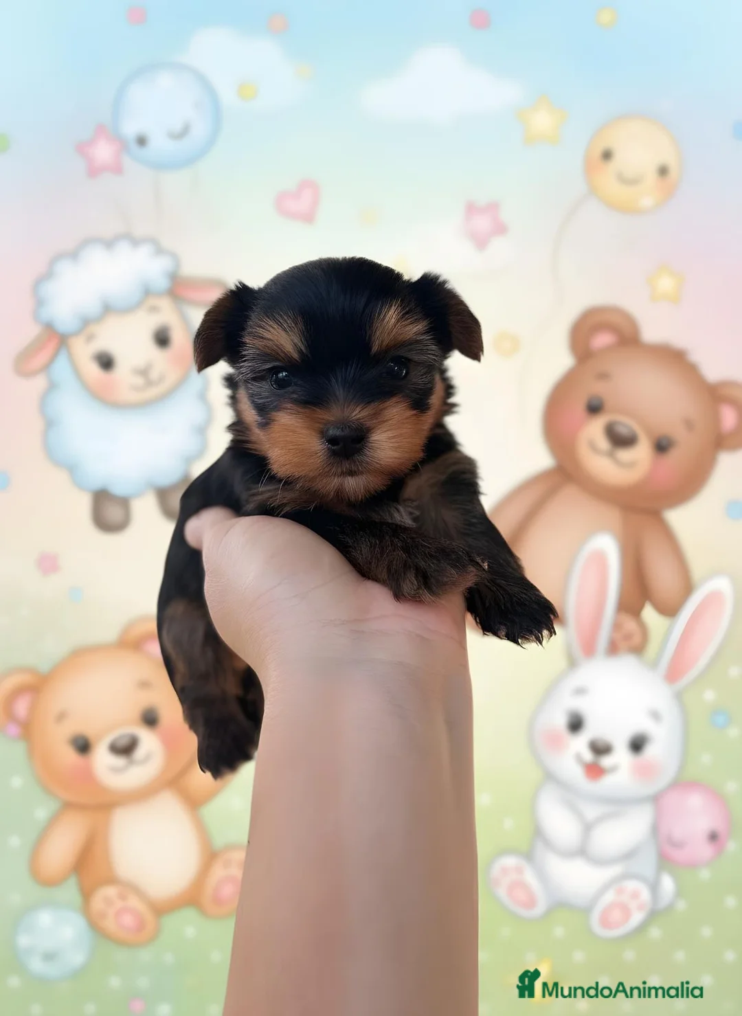 Imagen de galería {{count}}