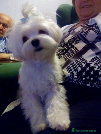 Imagen de galería {{count}}