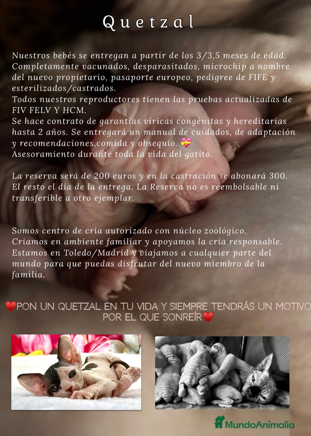 Imagen de galería {{count}}