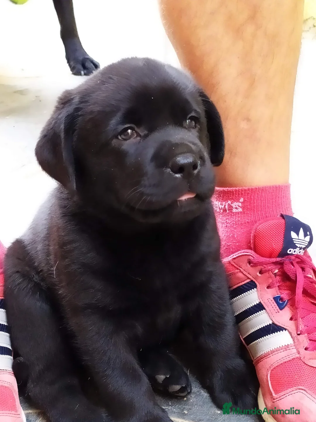 Imagen de galería {{count}}