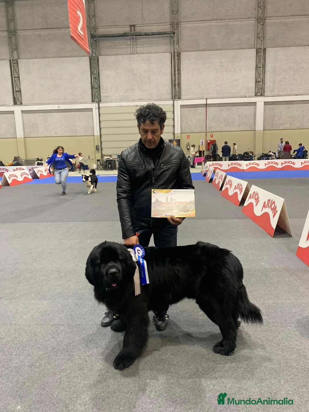 Imagen de galería {{count}}