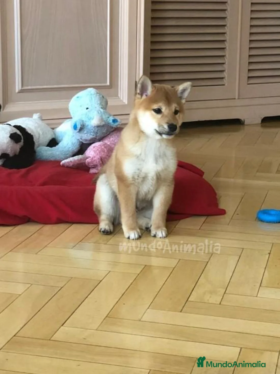 Imagen de galería {{count}}