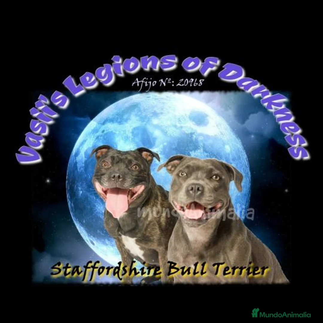 Imagen de galería {{count}}