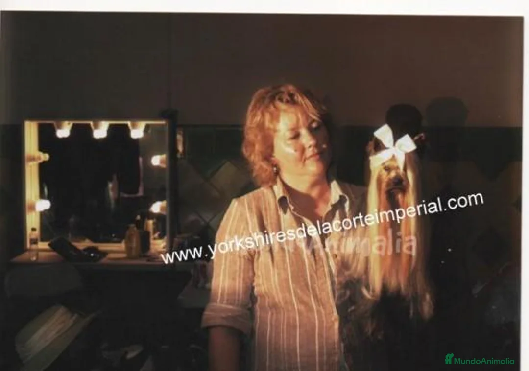 Imagen de galería {{count}}