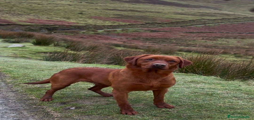 Imagen de galería {{count}}