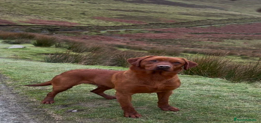 Imagen de galería {{count}}