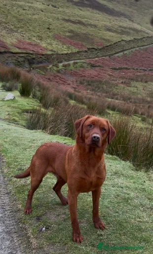 Imagen de galería {{count}}