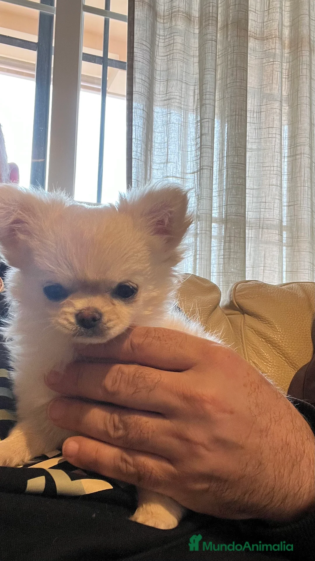 Imagen de galería {{count}}