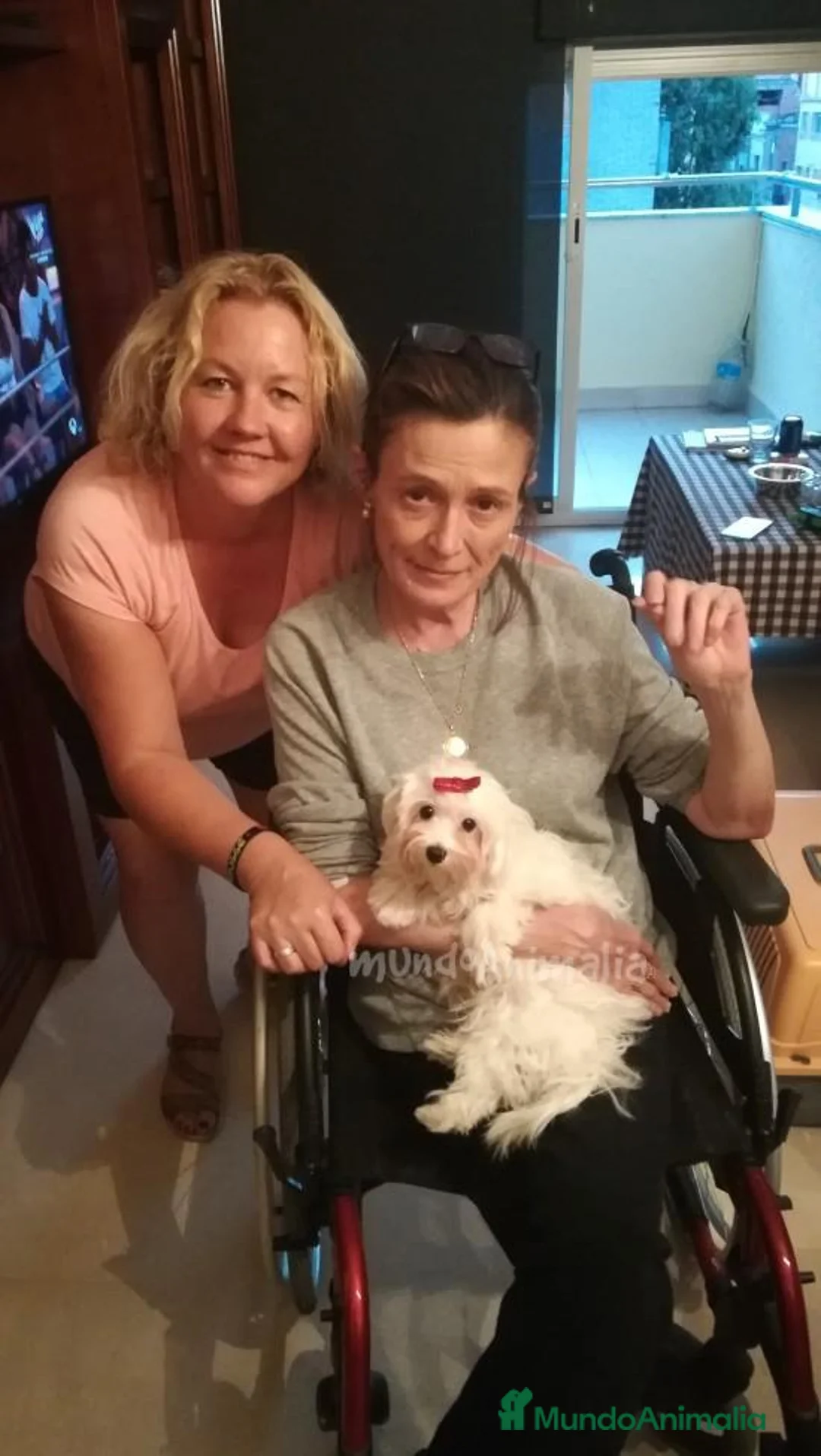 Imagen de galería {{count}}