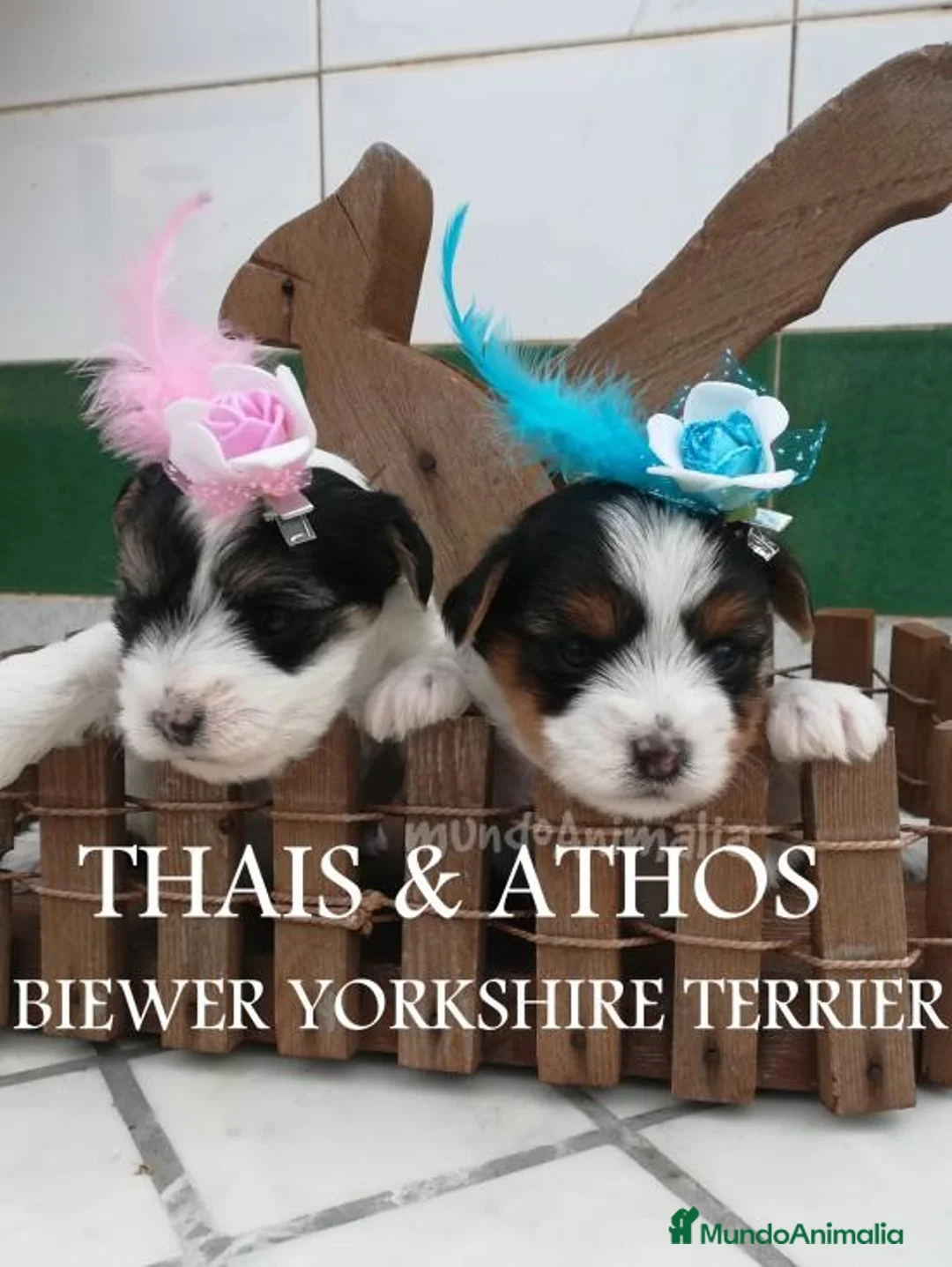 Imagen de galería {{count}}