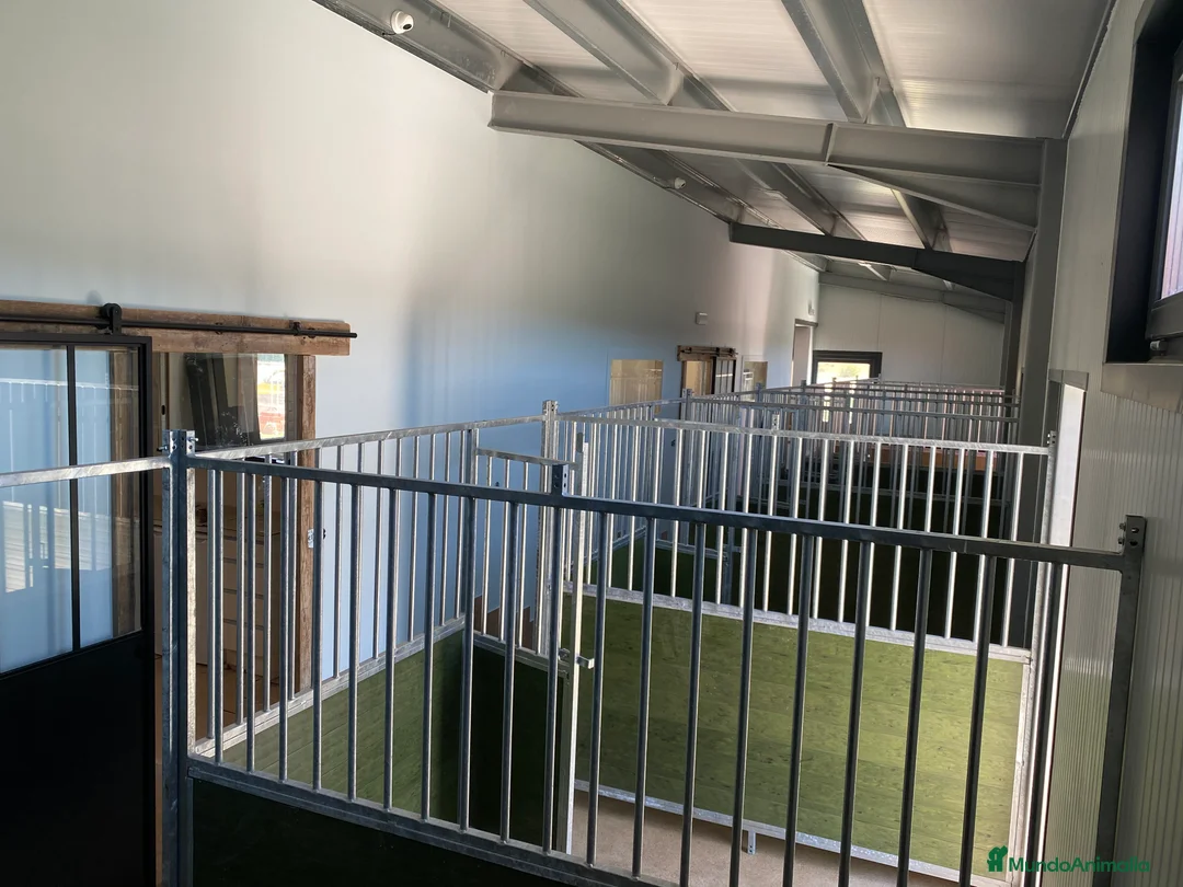 Imagen de galería {{count}}