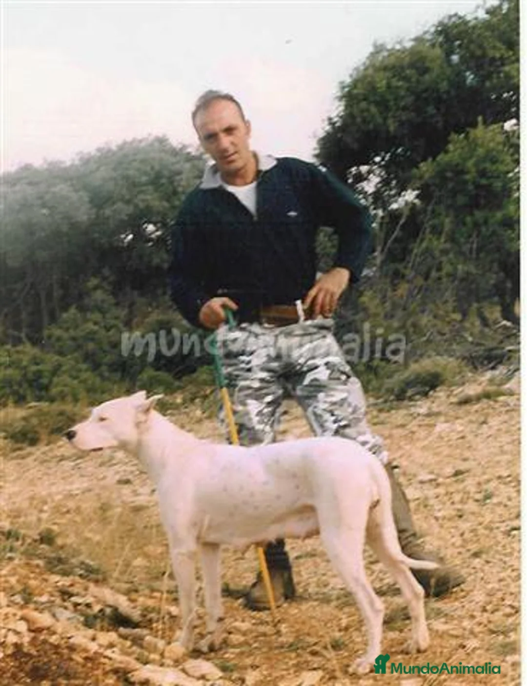 Imagen de galería {{count}}