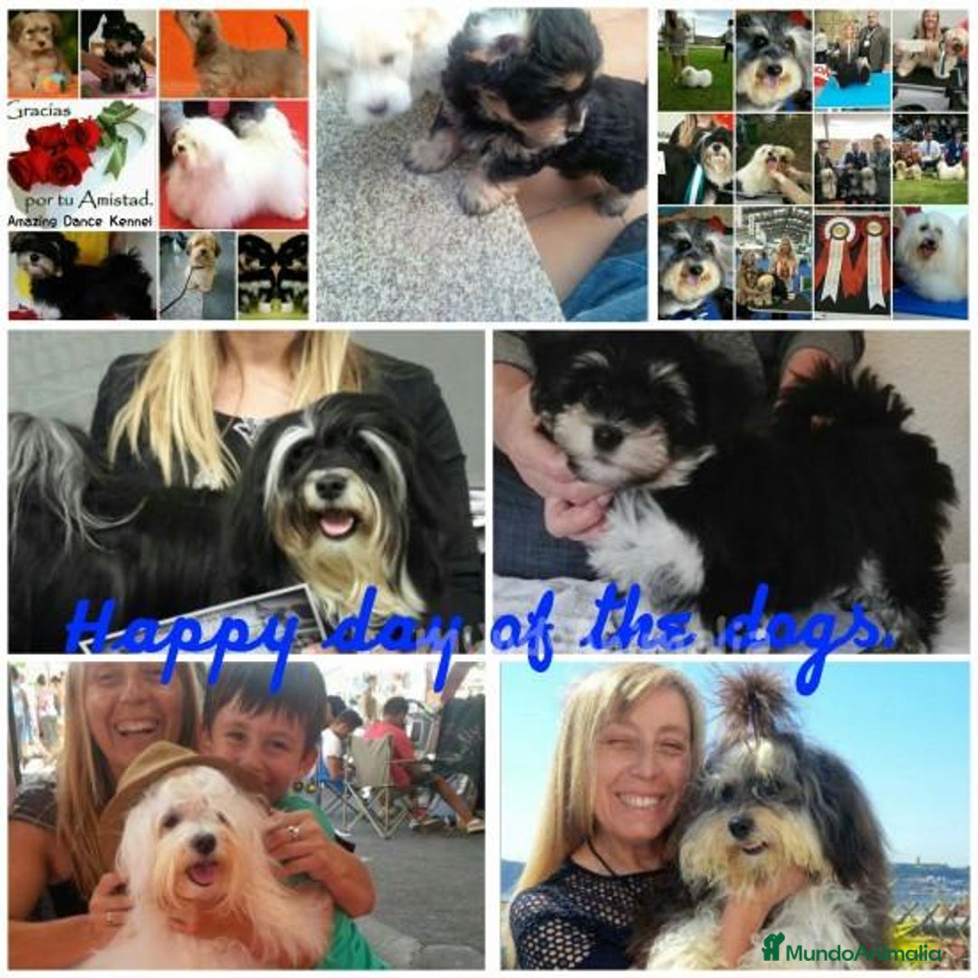 Imagen de galería {{count}}