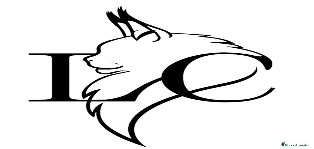 Imagen de galería {{count}}