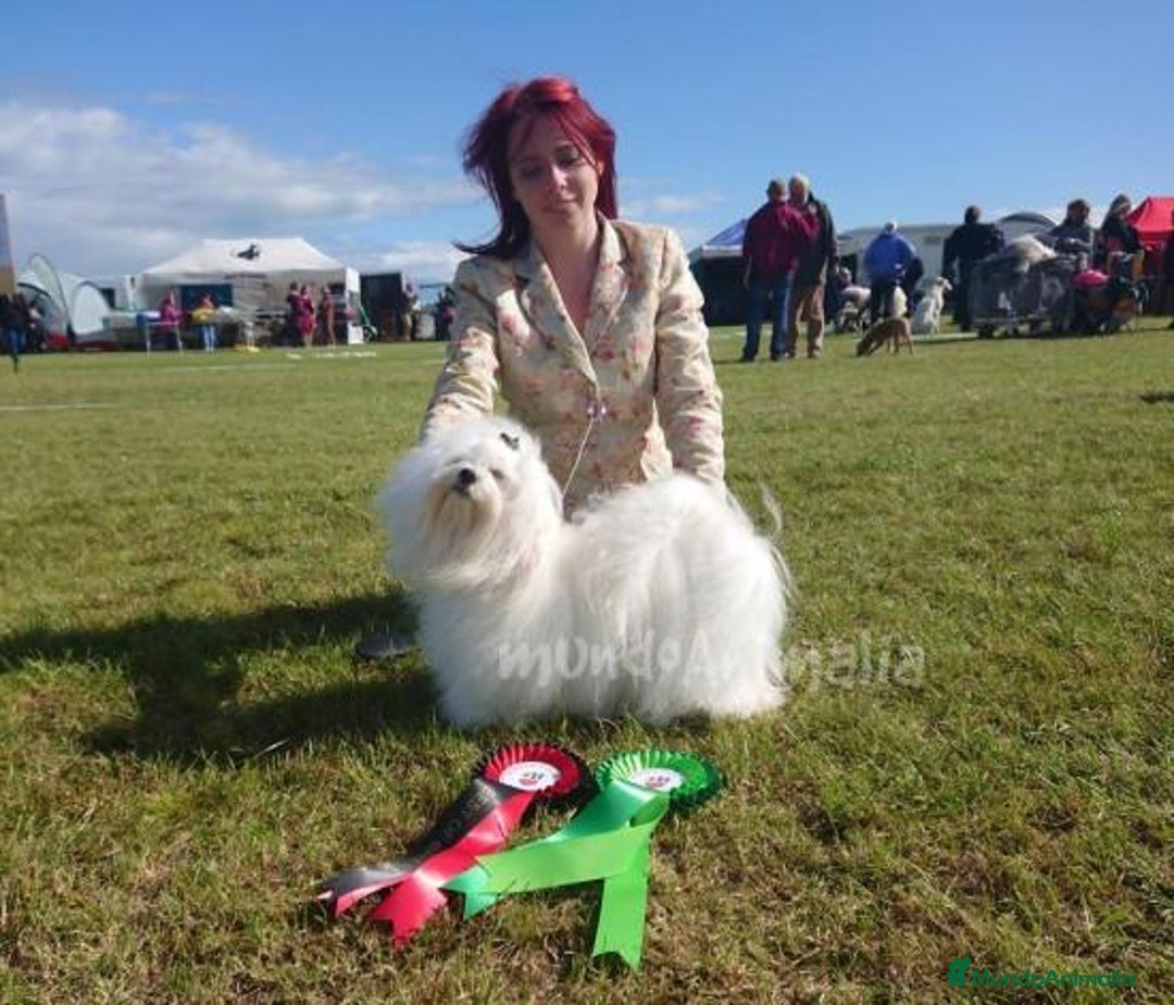 Imagen de galería {{count}}