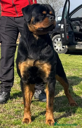 Imagen de galería {{count}}