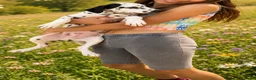 Dálmata perros en venta: 🤍 3 MESES DE TERNURA BUSCANDO SU FAMILIA IDEAL 🤍 - Anuncio 1